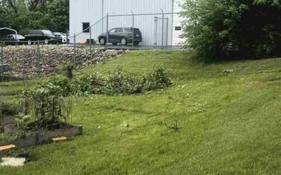 Photo of Mary P.'s yard after getting landscaping in New Albany, IN