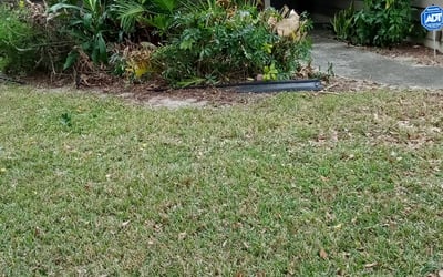 Photo of Larry C.'s yard after getting landscaping in Intercession City, FL