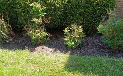 Photo of Melanie B.'s yard after getting landscaping in Brownsville, OH