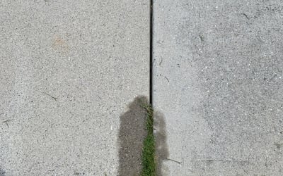 Photo of Chris W.'s yard after getting landscaping in Smyrna, SC