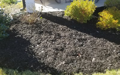 Photo of Nick H.'s yard after getting landscaping in Molena, GA
