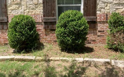 Photo of Gregory D.'s yard after getting landscaping in Red Oak, TX