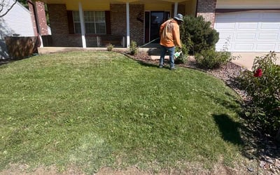 Photo of Kathy H.'s yard after getting landscaping in Watkins, CO