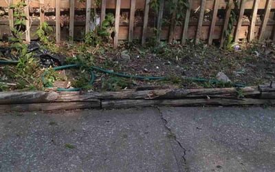 Photo of Jason M.'s yard after getting landscaping in Plattsburg, MO