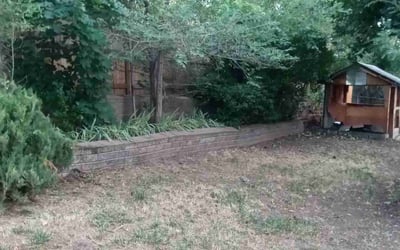 Photo of Valerie M.'s yard after getting tree care in Conifer, CO