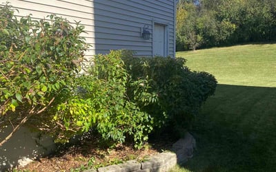 Photo of Amber M.'s yard after getting lawn care in Oconomowoc, WI
