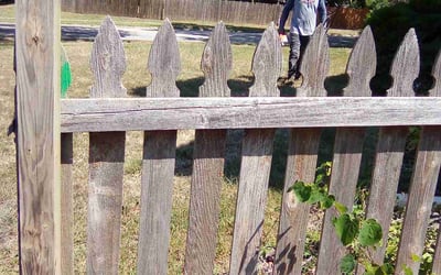 Photo of Jessica M.'s yard after getting landscaping in Easton, KS
