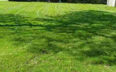 Photo of Sarah M.'s yard after getting landscaping in Lakeland, MN