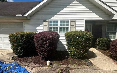 Photo of Angela J.'s yard after getting landscaping in Griffin, GA