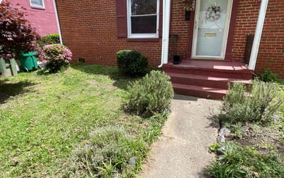 Photo of Mary M.'s yard after getting tree care in Richmond, VA