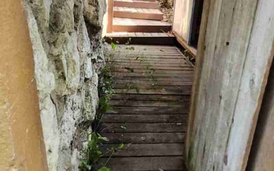 Photo of Tracy K.'s yard after getting landscaping in Austin, TX