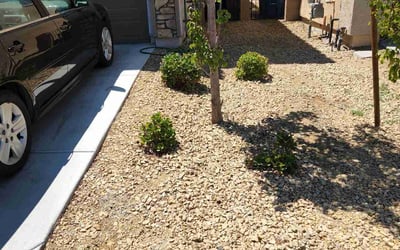 Photo of Rudy D.'s yard after getting landscaping in Boulder City, NV