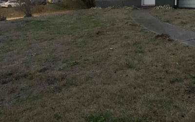 Photo of Willy C.'s yard after getting landscaping in East Saint Louis, IL