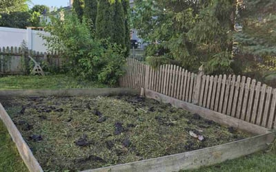 Photo of Brian G.'s yard after getting landscaping in Naperville, IL