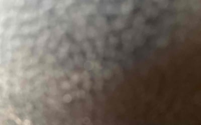 Photo of Brittany K.'s yard after getting tree care in Helotes, TX