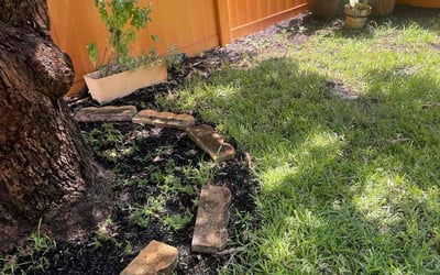 Photo of Jason C.'s yard after getting landscaping in Belle Glade, FL