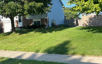 Photo of Tod P.'s yard after getting tree care in New Berlin, WI