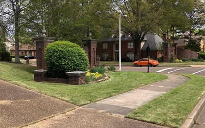 Photo of Hal M.'s yard after getting lawn care in Germantown, TN