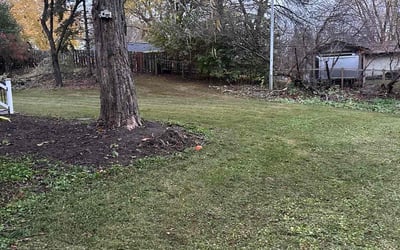 Photo of Jonathan W.'s yard after getting landscaping in Belle Plaine, MN