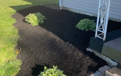 Photo of William S.'s yard after getting landscaping in Commercial Point, OH