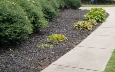 Photo of Jason R.'s yard after getting landscaping in Cherryville, NC