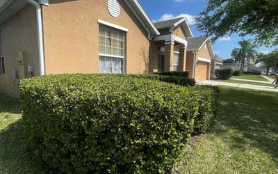 Photo of Angela C.'s yard after getting landscaping in Umatilla, FL