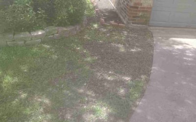 Photo of Jacob S.'s yard after getting landscaping in Channelview, TX