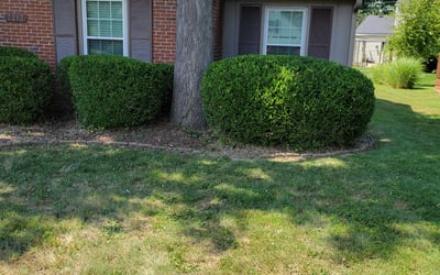 Photo of Kevin Y.'s yard after getting landscaping in Corydon, IN