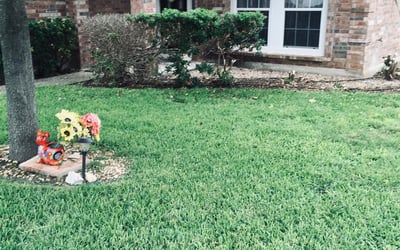 Photo of Monica B.'s yard after getting landscaping in Poth, TX