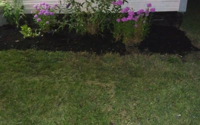 Photo of Shannon M.'s yard after getting landscaping in Stoutsville, OH