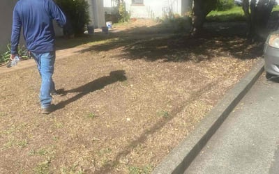 Photo of Alvin C.'s yard after getting landscaping in Vallejo, CA