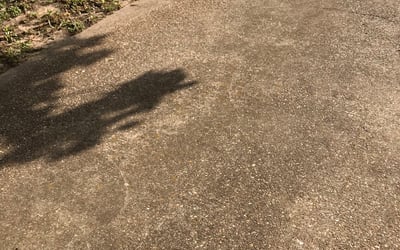 Photo of Jon B.'s yard after getting landscaping in Palmer, TX