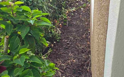 Photo of Jean L.'s yard after getting tree care in Deltona, FL