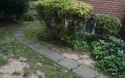 Photo of Sal S.'s yard after getting tree care in Gaithersburg, MD