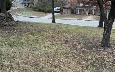 Photo of James R.'s yard after getting tree care in Prairie Village, KS