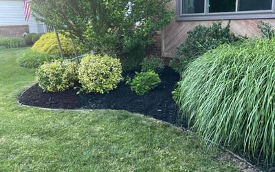 Photo of Lisa C.'s yard after getting landscaping in Buffalo, NY