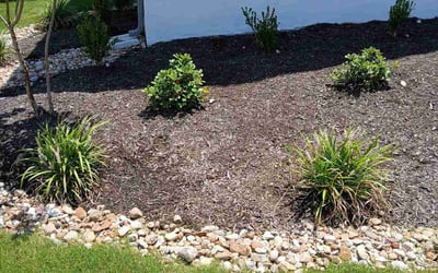 Photo of Dan S.'s yard after getting landscaping in Dripping Springs, TX