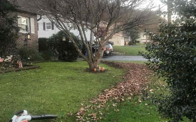Photo of Dan S.'s yard after getting landscaping in Wilkes Barre, PA