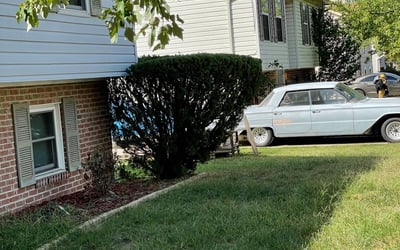 Photo of Shalonda W.'s yard after getting landscaping in Jeffersonton, VA