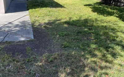 Photo of James H.'s yard after getting lawn care in Cupertino, CA