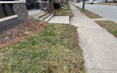 Photo of Christopher P.'s yard after getting landscaping in Nashville, IN