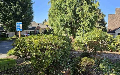 Photo of Nai J.'s yard after getting landscaping in Mukilteo, WA