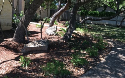 Photo of Brian B.'s yard after getting landscaping in Christine, TX