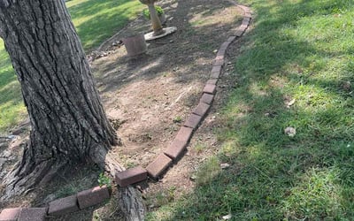 Photo of Vicky H.'s yard after getting landscaping in Haslet, TX