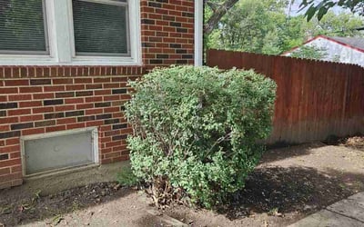Photo of Christopher G.'s yard after getting landscaping in Newton, KS