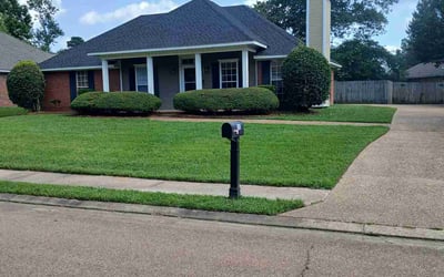 Photo of Brandon M.'s yard after getting landscaping in Brandon, MS