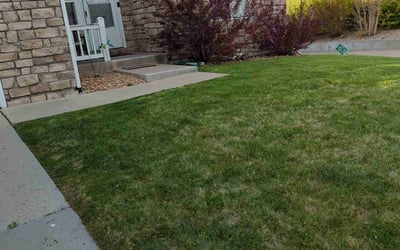Photo of Mike H.'s yard after getting landscaping in Shawnee, CO