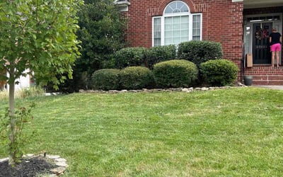 Photo of June K.'s yard after getting landscaping in Paw Creek, NC