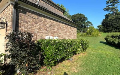 Photo of Hanyi M.'s yard after getting landscaping in Suwanee, GA