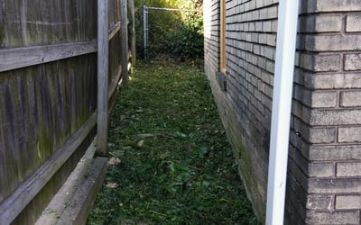 Photo of Jessica L.'s yard after getting landscaping in Falmouth, KY